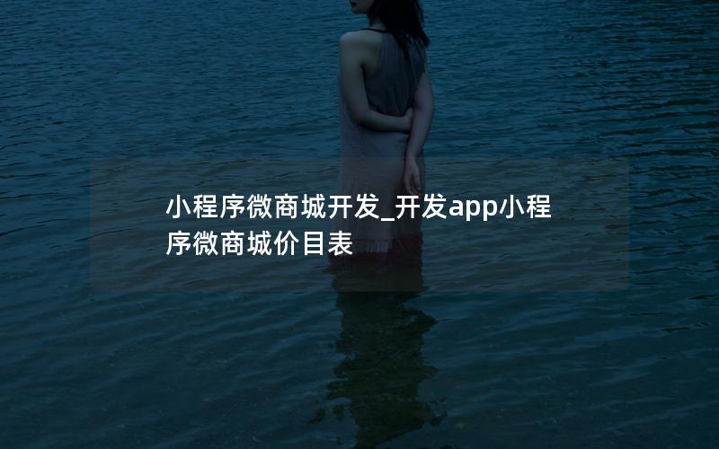 小程序微商城开发_开发app小程序微商城价目表