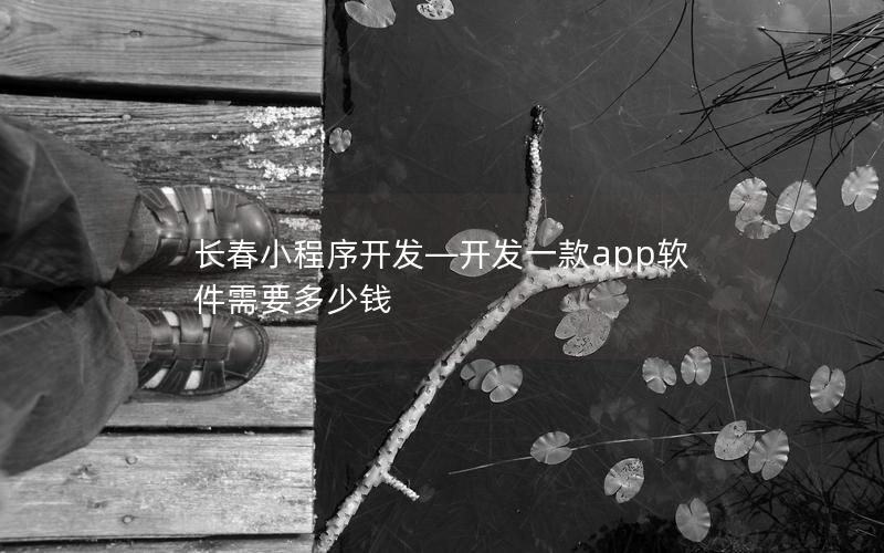长春小程序开发—开发一款app软件需要多少钱